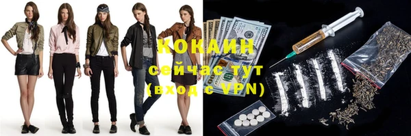 гашик Покачи