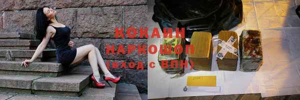 индика Алексин