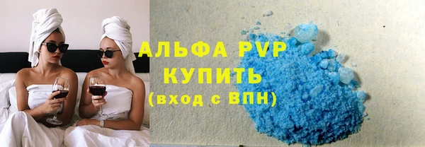 индика Алексин