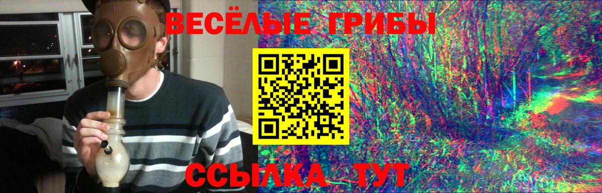 Галлюциногенные грибы Cubensis Павловский Посад