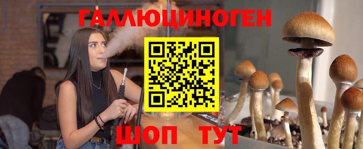 Павловский Посад  Галлюциногенные грибы Psilocybe  Галлюциногенные грибы Psilocybine cubensis  Вход с VPN 